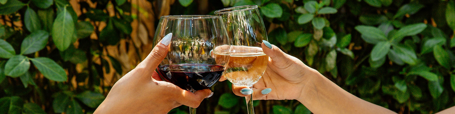 benefícios do vinho