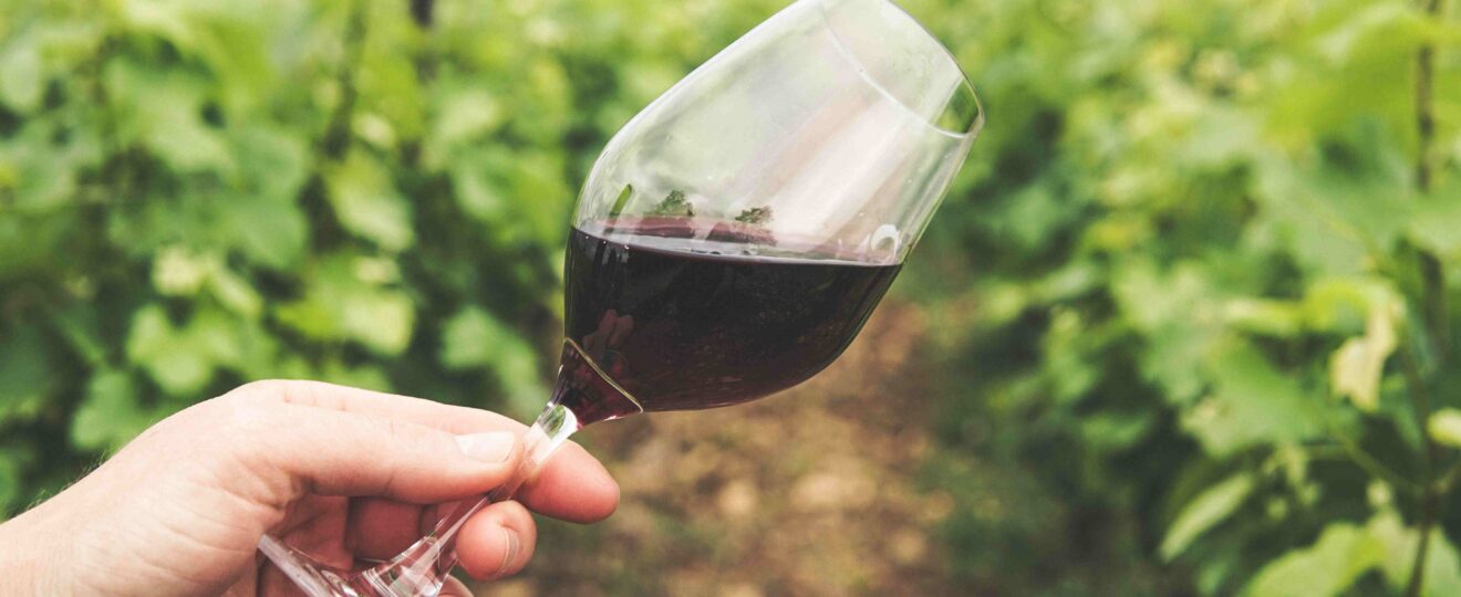 shiraz
